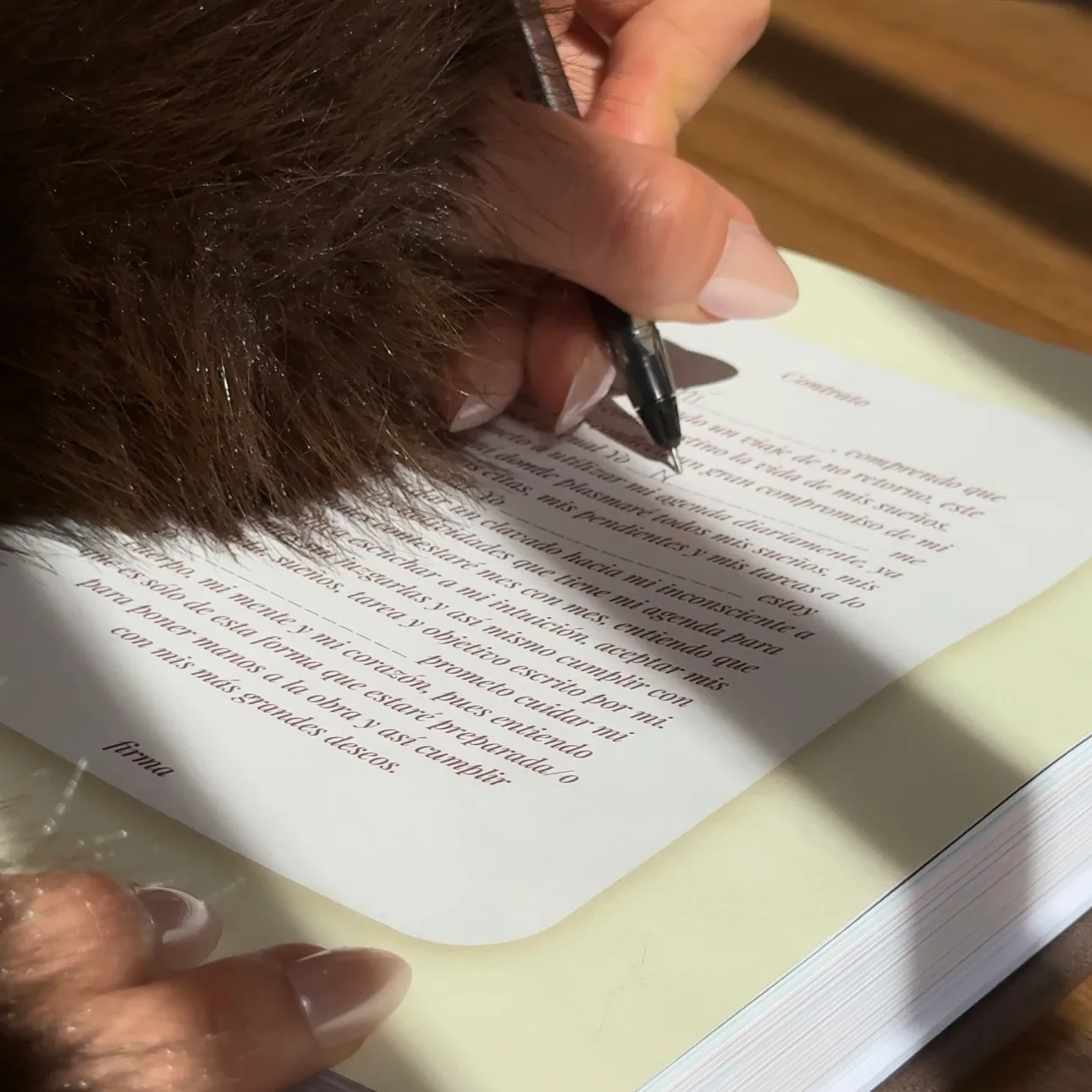 Dirty Matcha - Imagen 4